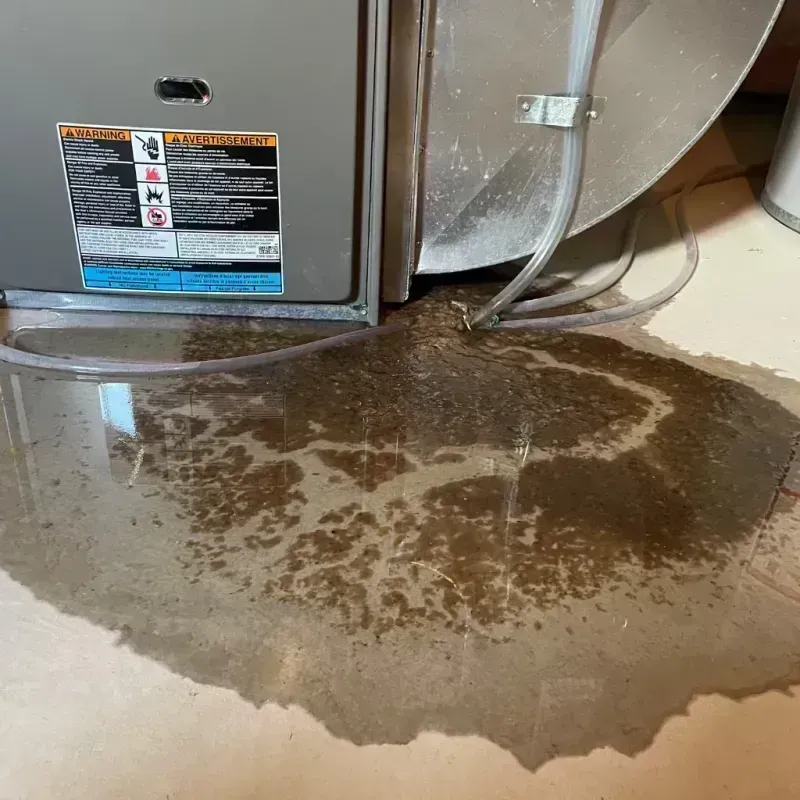 Appliance Leak Cleanup in Sewickley, PA